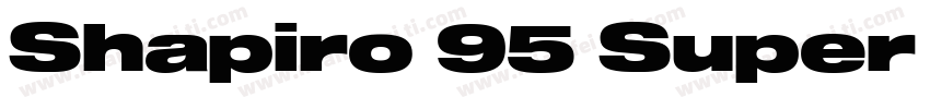 Shapiro 95 Super Extd字体转换